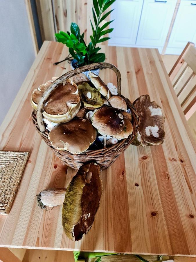 Chata Zorka Opařany 외부 사진